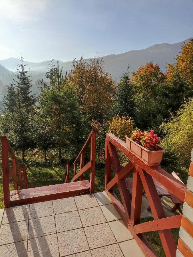 Садыба Полыцька Villa Guta Bilik gambar