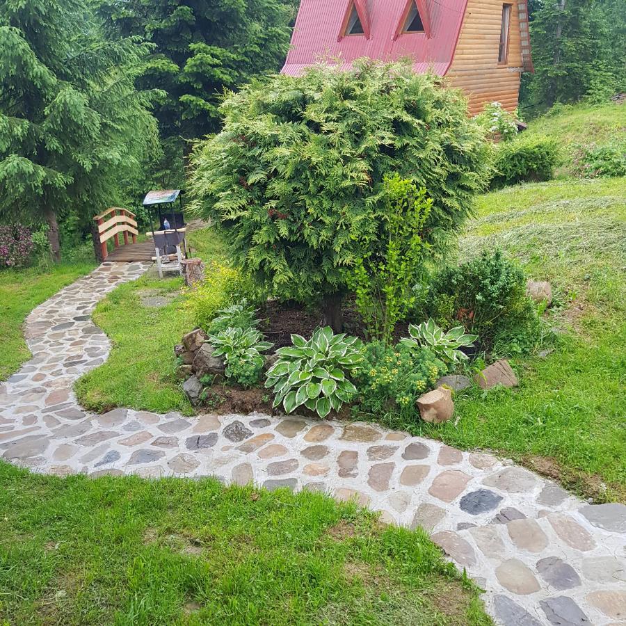 Садыба Полыцька Villa Guta Luaran gambar